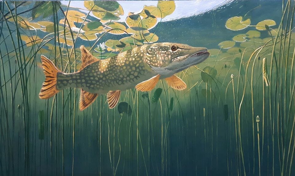 Fish & Wildlife Art by David Miller 