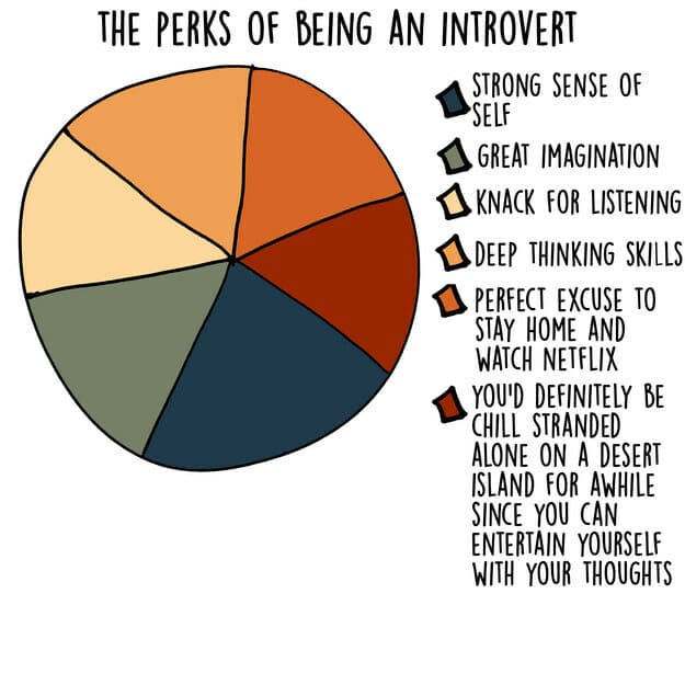 Introvert Graphs