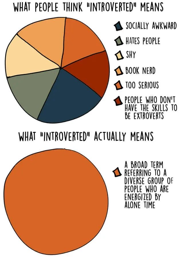 Introvert Graphs 03