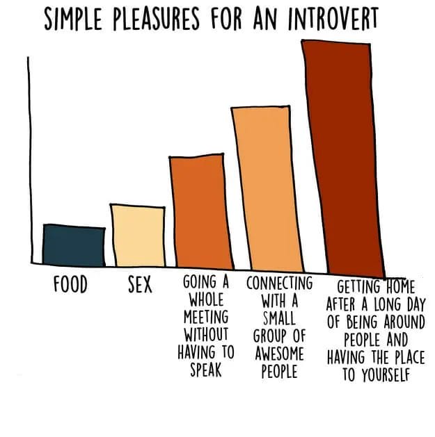 Introvert graphs 08
