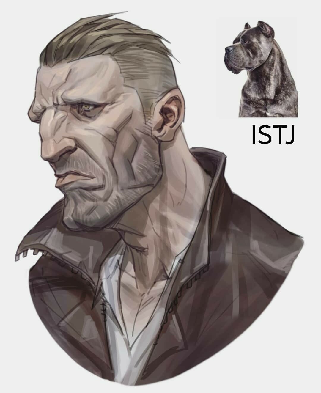ISTJ Myers Briggs avatar