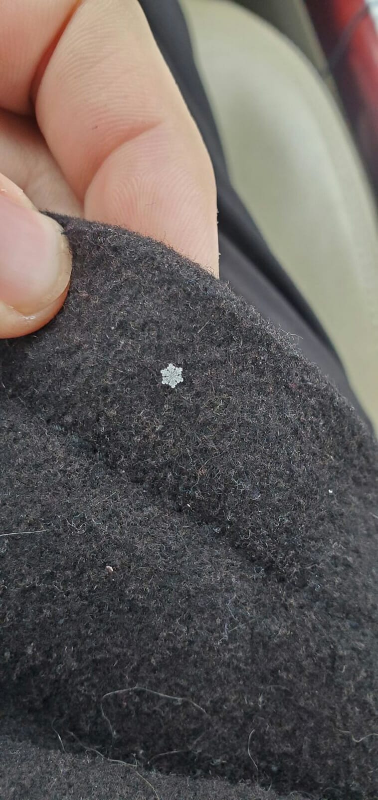 Perfect Snowflake That Fell On My Coat Yesterday