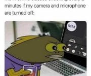 Introvert checking camera and mic are turned off