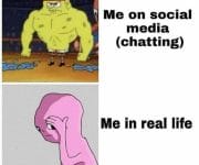 Introvert me on social media v introvert me in real life