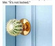Introverts door is not locked