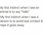 Introverts first instinct