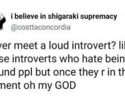 Loud introvert