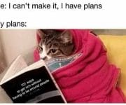 My plans