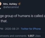 A large group of humans is called a fuck that