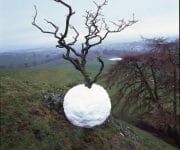 The natural artworks of andy goldsworthy